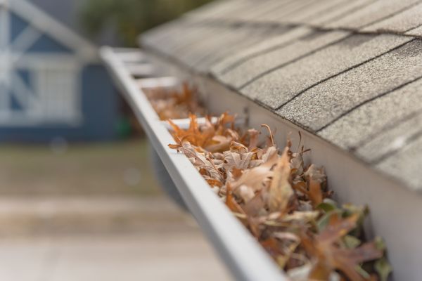 Leaf Barrier Installation in Huntsville